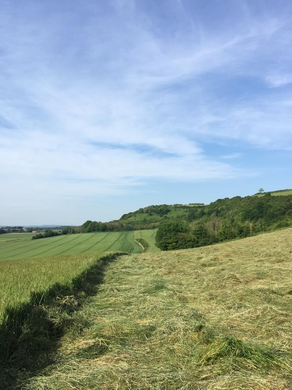 Les Collines Du Breuil Villa Samer Bagian luar foto